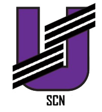SCN - Servizio Chiarimnenti Norme